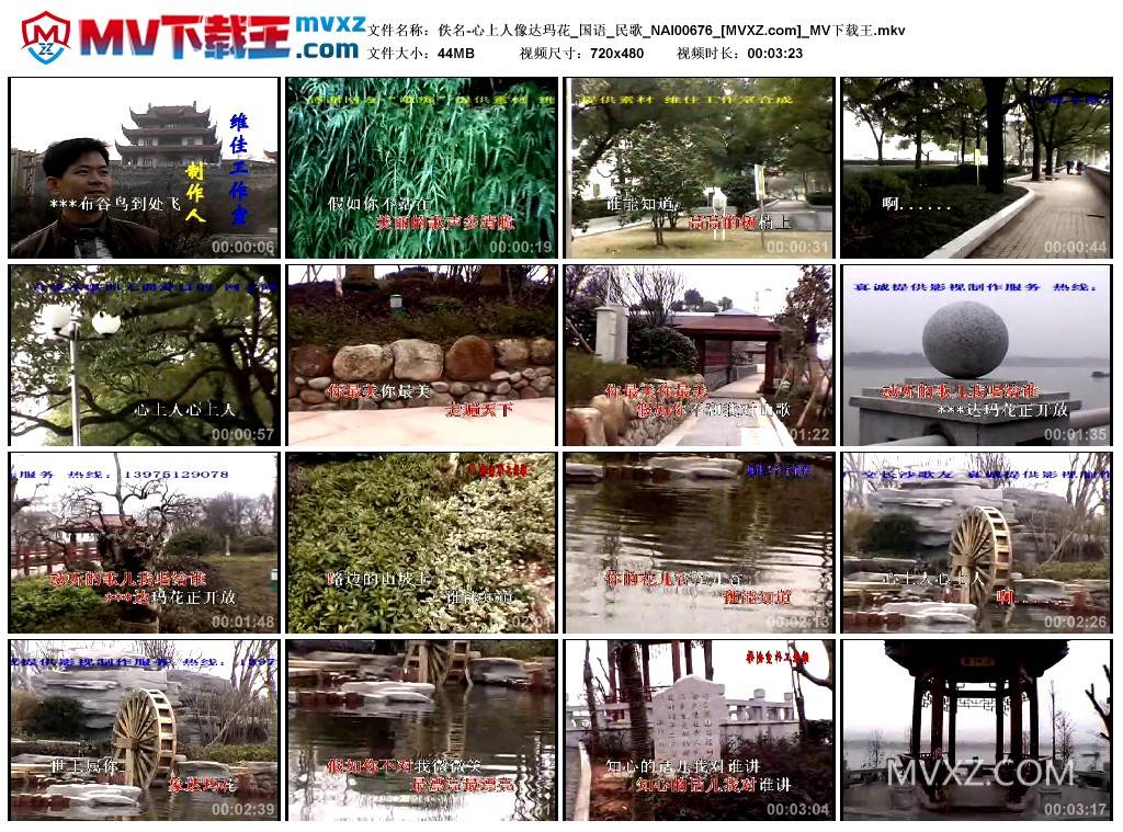 佚名-心上人像达玛花_国语_民歌_NAI00676
